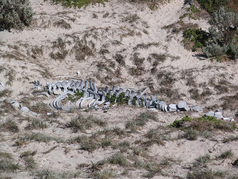 Kangaroo Island (32).jpg